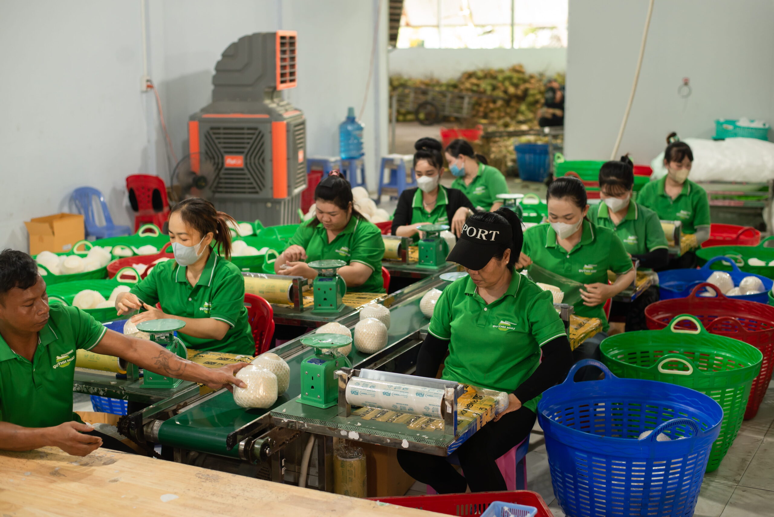 DSC8343 (1)